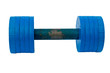 The old blue set of dumbells