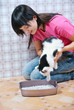 Foto: woman shows a cat toilet woman shows a cat toilet