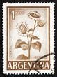 Postage stamp Argentina 1970 Sunflower, Plant