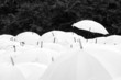 Umbrella party