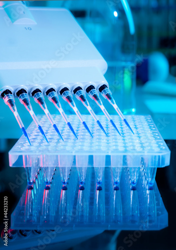 Photo: DNA amplification assay DNA amplification assay