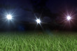 Spielfläche Nachts im Stadion 3D