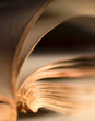 Detail of an old book