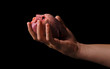 Photo: Heart in the hand Heart in the hand