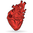 Vector button or icon of a human heart