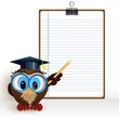 Owl at school