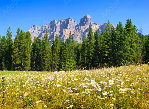 Photo: Beautiful landscape with Rocky Mountains in Alberta, Canada Beautiful landscape with Rocky Mountains in Alberta, Canada