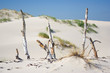 Photo: dunes in a Slowinski National Park, Poland dunes in a Slowinski National Park, Poland