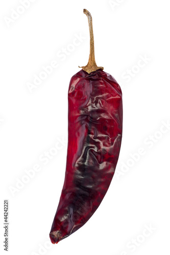 Photo: Guajillo Chili (Capsicum Annuum) Guajillo Chili (Capsicum Annuum)