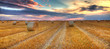 Sunset over the field