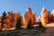 Geological formations in Bryce canyon national park in Utah