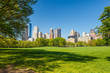 Central park at sunny day