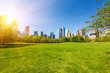 Central park at sunny day