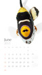 2013 calendar, sea marine life concept