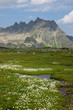 Alpenblick