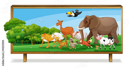 Vector: Animals in jungle on board Animals in jungle on board