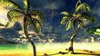 Video: Tropical beach Tropical beach