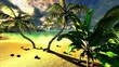 Tropical beach