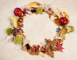 Circular Autumn border