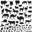 silhouettes of animals