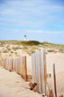 dunes on the beach