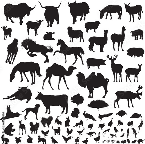 Vector: silhouettes of animals silhouettes of animals