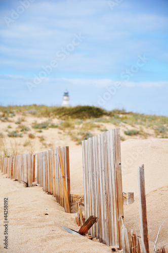 Photo: dunes on the beach dunes on the beach