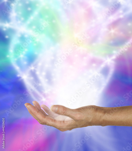 Photo: Pure Magic Pure Magic
