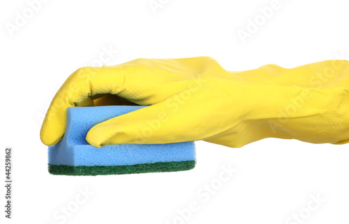 Photo: Sponge in hand isolated on white Sponge in hand isolated on white