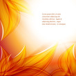 floral vector background. Eps10