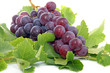 Grappe de raisins