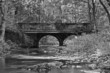 Die Selke im Harz ein naturbelassener Fluss