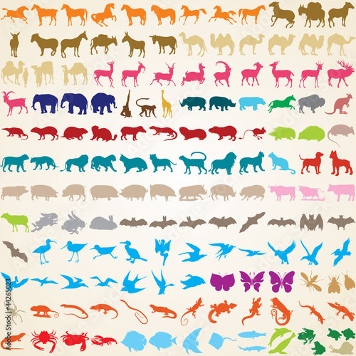 Vector: Animals silhouettes, vector set of 148 animal species Animals silhouettes, vector set of 148 animal species