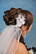 Nape brunette bride with a veil and see the hairstyles