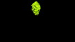 Toxic Splash