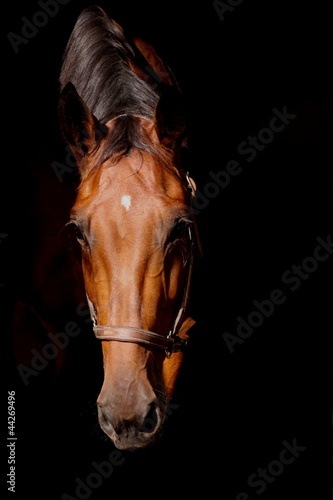 Photo: sanfter blick sanfter blick