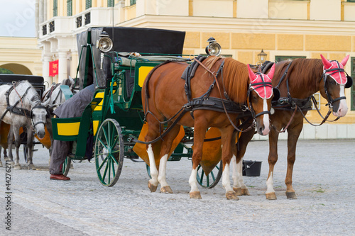 Photo: Horses for hire in Vienna Horses for hire in Vienna