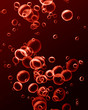 Red blood cells