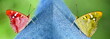 Always trendy natural jeans and  simply quality test