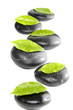 Photo: zen basalt with green leaves isolated zen basalt with green leaves isolated