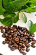 Foto: kaffeebohnen kaffeebohnen