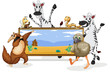 various animals and board