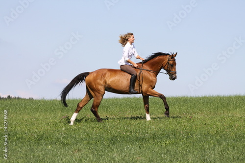 Photo: galopp ohne sattel galopp ohne sattel