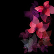 Flower background. . Elegance invitation card.