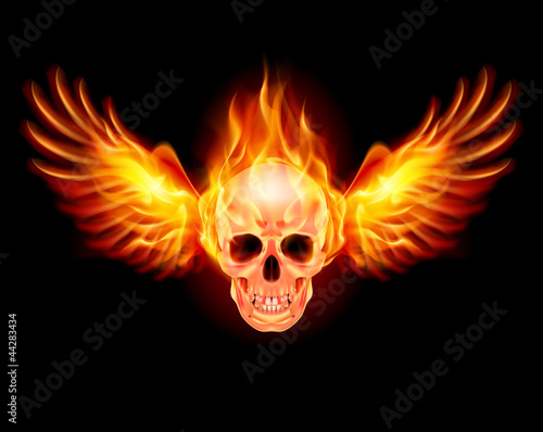 Vector: Flaming Skull Flaming Skull