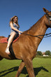 Cute young girl ride a horse
