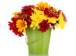 bouquet of beautiful summer flowers in bucket, isolated on