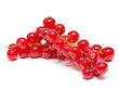 Foto: Johannisbeeren Johannisbeeren