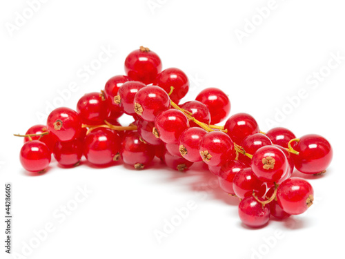 Photo: Johannisbeeren Johannisbeeren