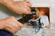 Foto: electrician electrician